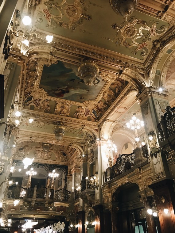 35771753-2F1D-49E6-B3F9-DAFE301F5671 2.JPG